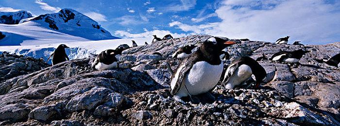 《真人快打》系列彩蛋男在任职30多年后离开工作室